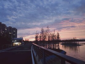 湿地晚霞风光