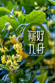 九月海报