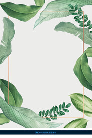 水彩植物叶片透明素材