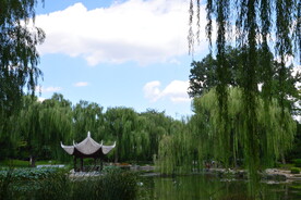 公园风景