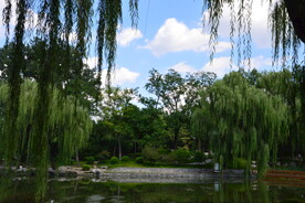 公园风景 
