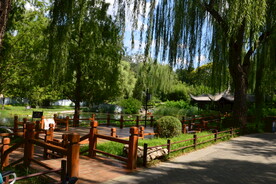 公园风景 