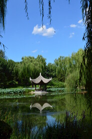 公园风景 