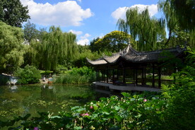 公园风景 