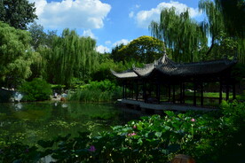 公园风景 
