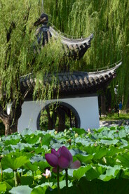 公园风景 
