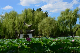公园风景 