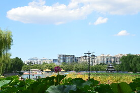 公园风景
