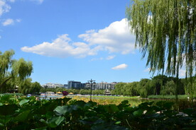 公园风景 