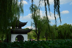 公园风景