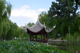 公园风景 