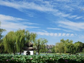 公园风景