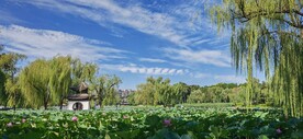 公园风景 