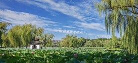 公园风景