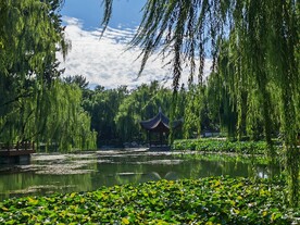 公园风景