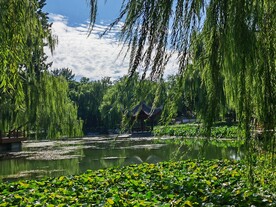 公园风景