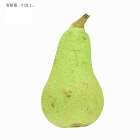 C4D模型荷兰绿啤梨