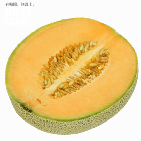 C4D模型半个哈密瓜