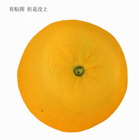 C4D模型桔子
