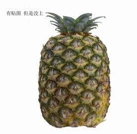 C4D模型菠萝