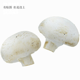 C4D模型白色蘑菇