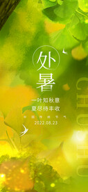 处暑
