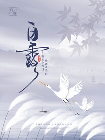 节气白露