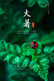 二十四节气大暑海报