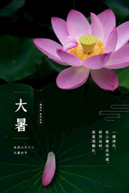 二十四节气大暑海报