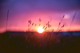 紫红色太阳日出日落