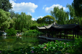 公园风景