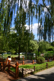 公园风景 