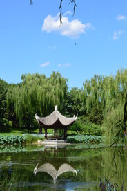 公园风景 