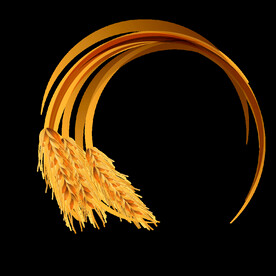 小麦