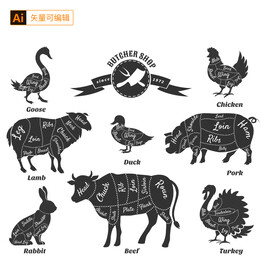 动物肉质分区图