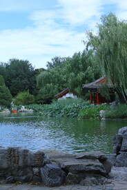 公园风景 