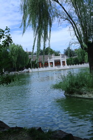 公园风景 