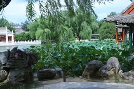 公园风景