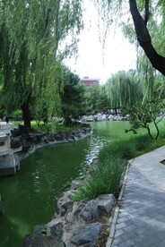 公园风景 