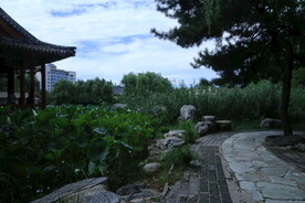 公园风景 