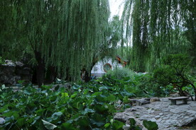 公园风景 