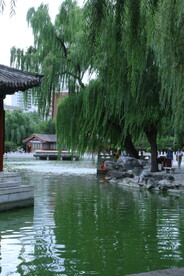 公园风景