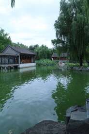 公园风景 