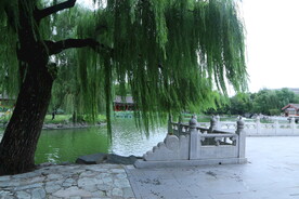 公园风景 