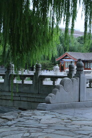 公园风景 