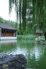 公园风景