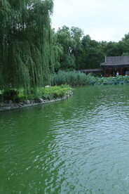 公园风景 