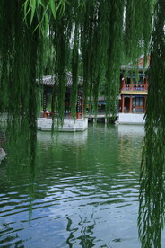 公园风景