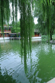 公园风景