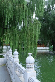 公园风景 